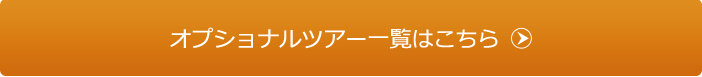 オプショナルツアー一覧