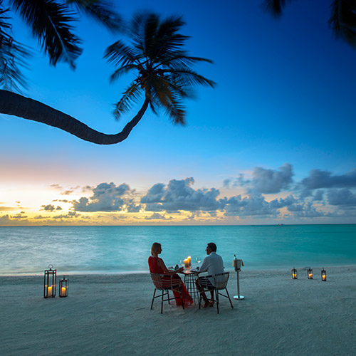 レストランの数が多いイメージ2